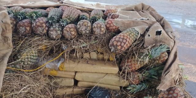 Droga estava em meio à carga de abacaxi | Foto: Divulgação/Polícia Rodoviária Federal