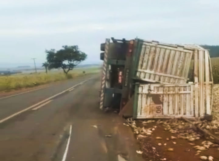 Caminhão carregado de milho tomba na MGC-154 entre Capinópolis e Cachoeira Dourada