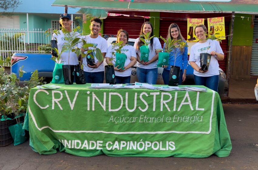 Dia Mundial do Meio Ambiente: CRV Industrial faz doação de mudas em Capinópolis