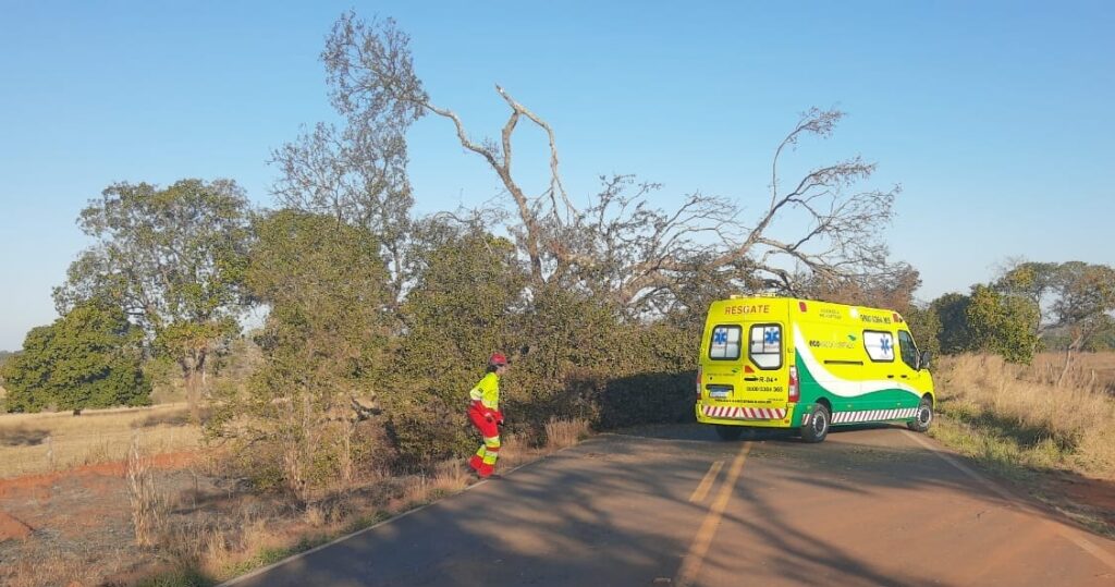 A rodovia liga a cidade de Gurinhatã à BR 365