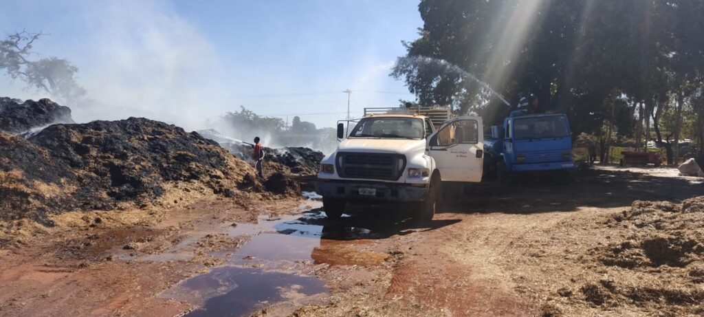 Incêndio consumiu parte do estoque de silagem | Foto: Bombeiros/divulgação