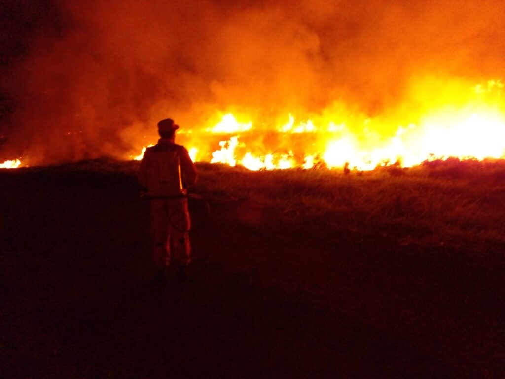 Ituiutaba: incêndio teve início em vegetação próximo ao Ginásio Romão | Foto: Bombeiros/Divulgação