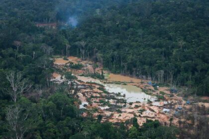 Grupo de Trabalho reforça combate aos garimpos ilegais na Amazônia | Chico Batata/Green Peace