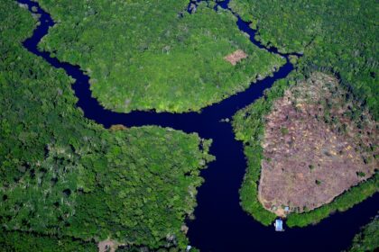 Imagem aérea da Amazônia | Foto: FP