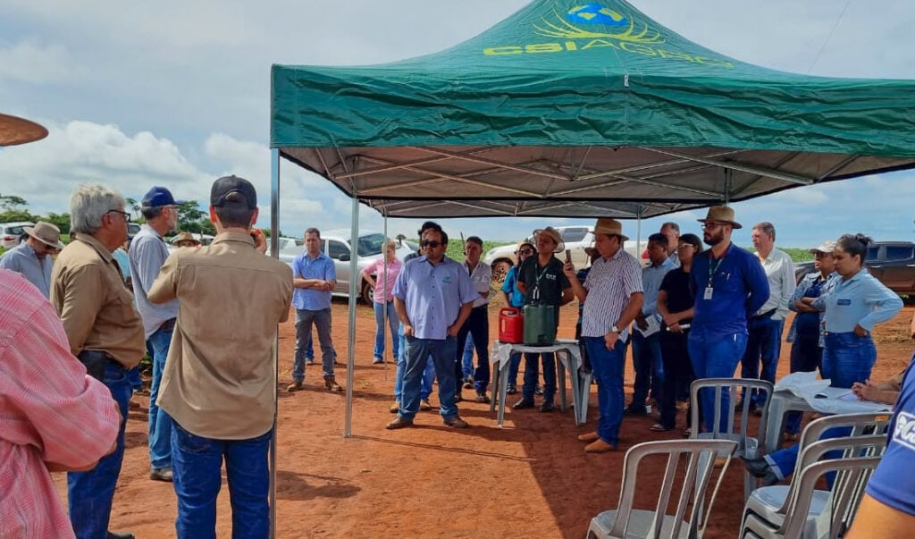 Dia de Campo foi realizado na Fazenda Olhos D´Água, e abordou a reminerizado com pó de rocha | Foto: Queli Franco