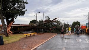 Ventos fortes causam estragos pela região do Triângulo Mineiro