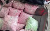 Comprimidos de ecstasy foram encontrados dentro de mala em Uberlândia — Foto: Redes sociais